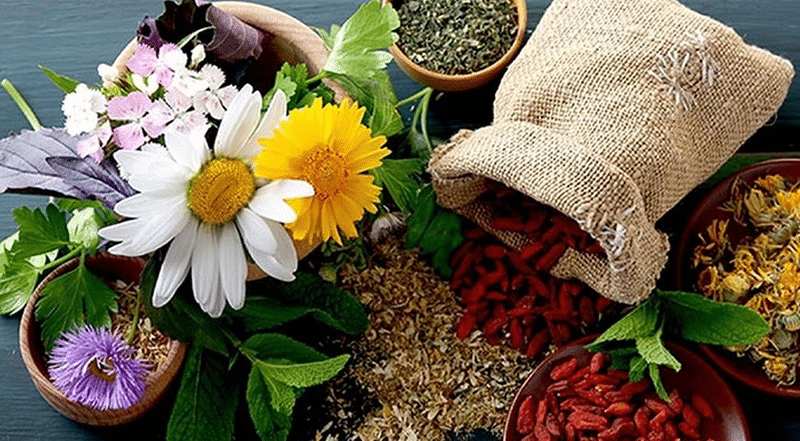 پژوهشگر تات از ثبت یک گنجینه سبز خبر داد؛پژوهشگران تات ۸۰۰ گونه گیاه دارویی را مستندسازی کردند