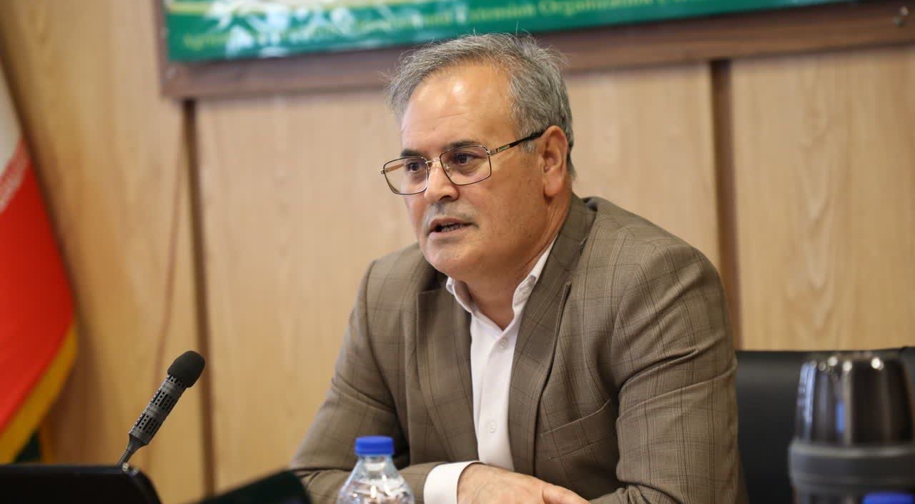 گل محمدی