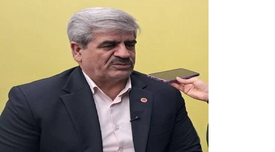 ظرفیت جایگزینی بیش از ۳.۵ میلیون تن ذرت با منابع خوراکی داخلی فراهم شد