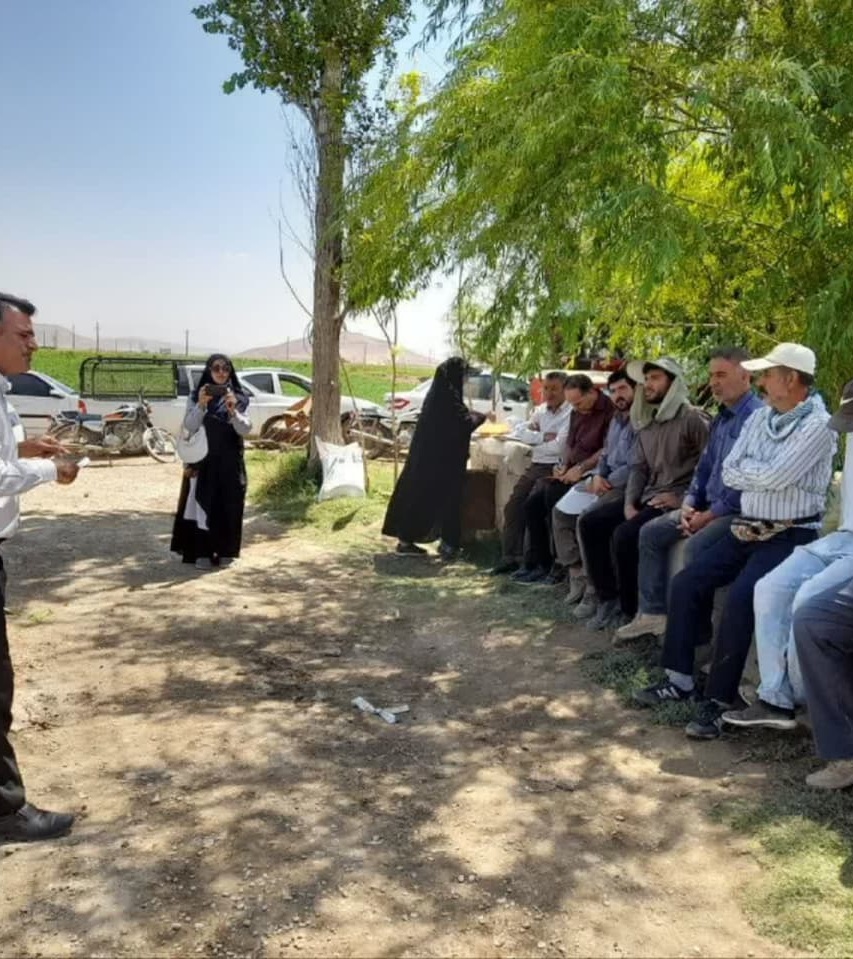 برگزاری کارگاه آموزشی «مدرسه در مزرعه» (FFS) لوبیا در شهرستان ازنا؛ گامی مؤثر در تلفیق دانش بومی و یافته‌های فنی