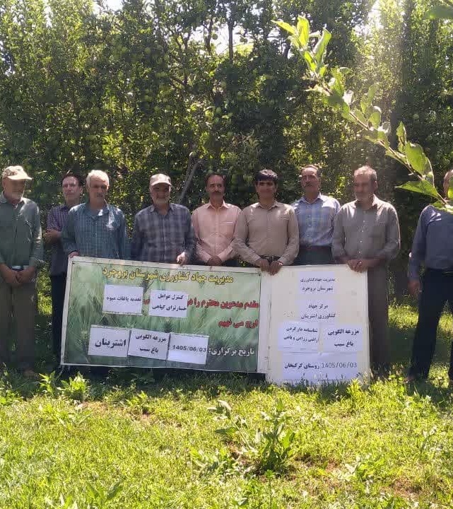 کارگاه آموزشی مدیریت آفات، بیماری‌ها و تغذیه باغات سیب در روستای کرکیخان برگزار شد