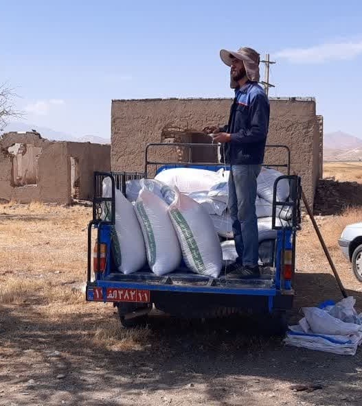 آغاز عملیات کاشت جو دیم در ۵۸ هکتار از اراضی تحقیقاتی پردیس الیگودرز
