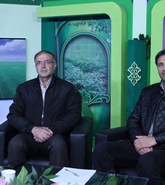 توسعه باغات زیتون؛ راهکاری پایدار برای کشاورزی استان کرمانشاه