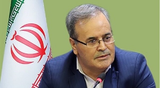 الگوی کشت محصولات گلخانه ای و زراعت چوب تا پایان سال ابلاغ می شود