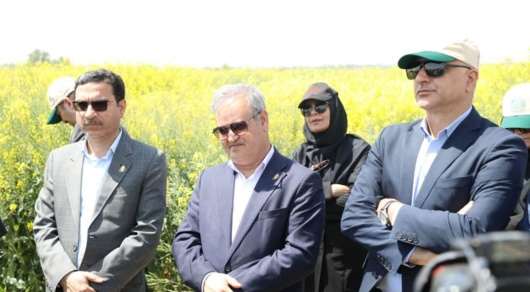 نگاه دو معاون وزیر به مزارع کلیدی غلات و دانه‌های روغنی