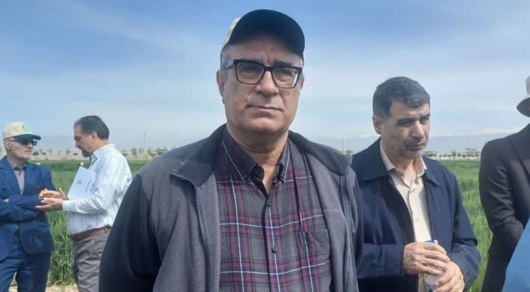 ۹۹ درصد ارقام غلات مصرفی کشاورزان در تحقیقات «تات» معرفی شد