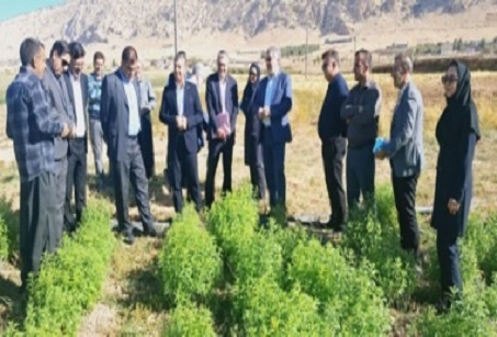 بازدید مسئولان ارشد سازمان تات از مرکز تحقیقات و آموزش کشاورزی و منابع طبیعی استان ایلام و سازمان جهاد کشاورزی استان ایلام  به همراه مشاور معاون وزیر و مدیر کل دفتر حوزه ریاست سازمان