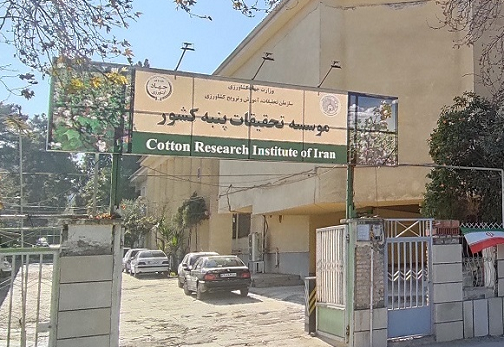 موسسه تحقیقات پنبه کشور