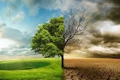سلسله نشست های هماهنگی برگزاری همایش تغییر اقلیم