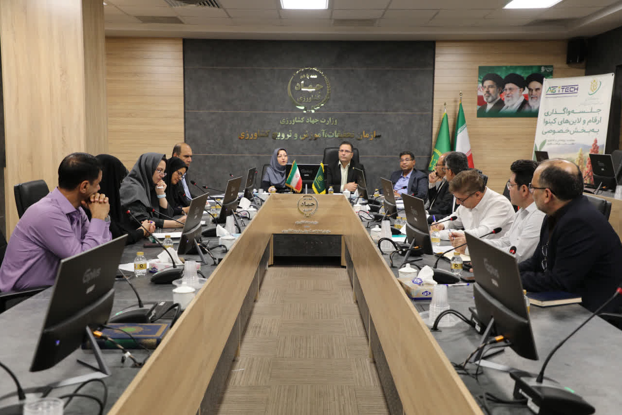 گام راهبردی سازمان تات برای تحول در زنجیره ارزش پروتئین گیاهی/ دانش فنی ارقام جدید «کینوا» به بخش خصوصی واگذار شد