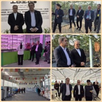 فناوری‌های آینده کشاورزی؛ از گلخانه‌های ۹ طبقه تا کشت هوشمند انجیر در چین