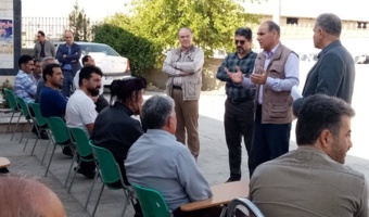 نظارت بر الگوی کشت و توسعه زنجیره ارزش آفتابگردان در کرمانشاه