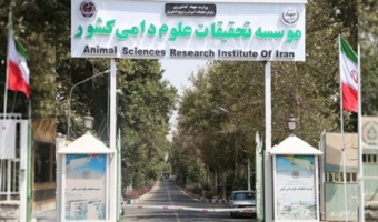 موسسه تحقیقات علوم دامی کشور