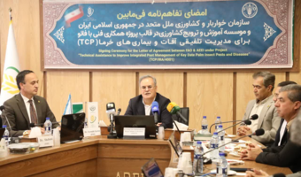 افزایش بهره‌وری و انتقال دانش؛ محور همکاری‌های مشترک تات و فائو