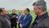 بازدید گل‌محمدی از دستاورد راهبردی سازمان تات؛ توسعه کشت کاملینا در گلستان شتاب گرفت
