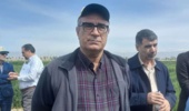 ۹۹ درصد ارقام غلات مصرفی کشاورزان در تحقیقات «تات» معرفی شد