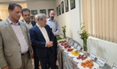 دستاورد راهبردی تات برای تقویت امنیت غذایی به بخش تولید منتقل شد