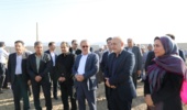 اینجا آینده کشاورزی ایران جوانه میزند؛ حضور رئیس سازمان تات در سنگر تولید دانش و بذر