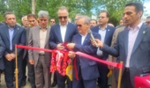 رونمایی از دو رقم جدید برنج «تیتی» و «کویر»؛ توسعه سبد ارقام پرمحصول و کمآببر کشور