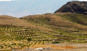 الگوی دیمکاری علمی در رضویه مشهد اجرا میشود؛ آغاز مسیر ارتقای بهرهوری اراضی کمبارش با مدیریت نوین آب و خاک