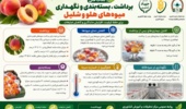 ارائه توصیه‌های فنی برای حفظ کیفیت محصولات باغی پس از برداشت
