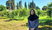 عضو هیأت علمی پژوهشکده مرکبات و میوه‌های نیمه‌گرمسیری از نتایج یک پژوهش کاربردی خبر داد؛