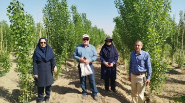 بازدید از مزرعه تولید چوب و صنوبرکاری تصفیه‌خانه شهرستان همدان برای بررسی آفات و بیماری‌ها