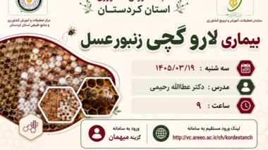 بیماری لارو گچی زنبور عسل؛ شناخت، پیشگیری و مدیریت