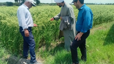 حضور حجت‌الاسلام دکتر امیری، مسئول دفتر نماینده ولی فقیه مرکز در ایستگاه تحقیقات زراعی و باغی دشت ناز