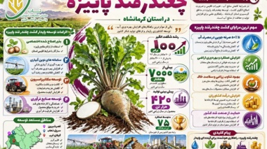 پژوهشگران مرکز تحقیقات کشاورزی کرمانشاه؛ سربازانِ بی‌ادعایِ امنیت غذایی