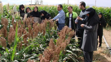 برگزاری دوره آموزشی ـ ترویجی در حوزه زراعت، گیاه‌پزشکی و تولید محصولات کشاورزی ویژه دانشجویان دانشکده کشاورزی در ایستگاه تحقیقات کشاورزی اکباتان