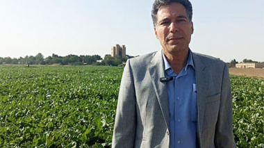 «روبینا»؛ نخستین رقم مشترک پژوهش و بخش خصوصی، الگویی موفق از تجاری‌سازی دستاوردهای تحقیقاتی