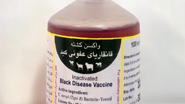 توسعه ظرفیت تولید واکسن در مؤسسه رازی؛ خط تولید واکسن ۴۰ دزی قانقاریای عفونی کبد راه‌اندازی شد