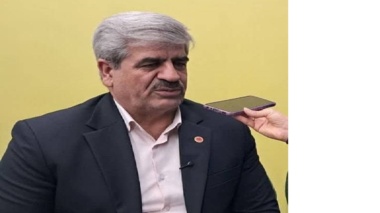 ظرفیت جایگزینی بیش از ۳.۵ میلیون تن ذرت با منابع خوراکی داخلی فراهم شد