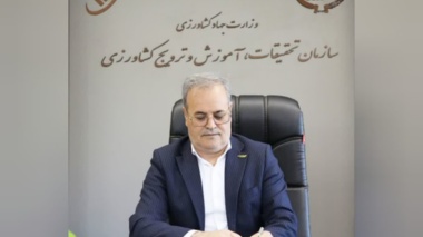 روستا و عشایر؛ ریشه‌های تمدن ایرانی و محور پایداری امنیت غذایی کشور