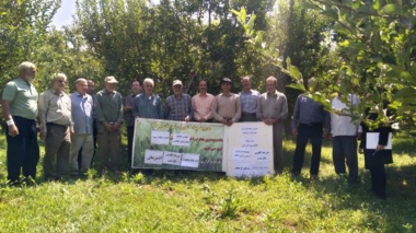 کارگاه آموزشی مدیریت آفات، بیماری‌ها و تغذیه باغات سیب در روستای کرکیخان برگزار شد