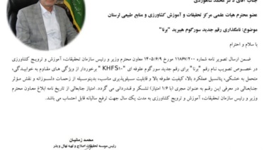 معرفی رقم جدید سورگوم هیبرید "بُرنا" توسط محمد شاهوردی عضو هیئت علمی مرکز تحقیقات و آموزش کشاورزی و منابع طبیعی لرستان