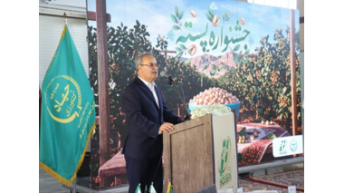 رقم جدید پسته «حسینی»؛ گامی تازه در توسعه باغهای پسته و افزایش بهرهوری در استان قم