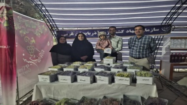 نمایش ۳۳ رقم در جشنواره انگور آذربایجان غربی