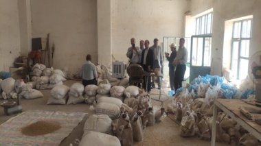 بازدید مسئولان ارشد مرکز تحقیقات کشاورزی آذربایجان غربی از ایستگاه و پردیس تحقیقات کشاورزی میاندوآب