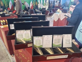 نمایشگاه فرصت‌های مشترک تجارت و سرمایه‌گذاری ایران و افغانستان؛