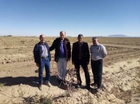 بازدید میدانی از باغات پسته و زعفران ایستگاه تحقیقات و آموزش کشاورزی و منابع طبیعی گناباد