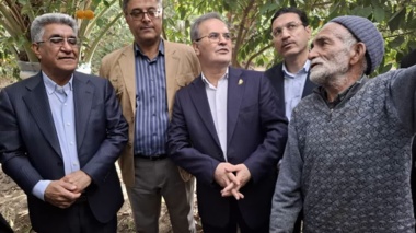 تعامل مستقیم معاون وزیر و رئیس سازمان تات  با کشاورزان استان جنوب کرمان