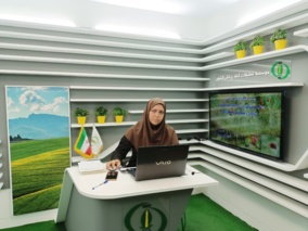 برگزاری وبینار آموزشی در موسسه تحقیقات گیاه‌پزشکی کشور؛