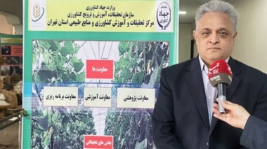 ورامین خط مقدم پژوهش‌های کاربردی کشاورزی و تأمین امنیت غذایی