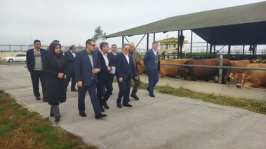 بازدید معاون وزیر و رئیس سازمان تات، دکتر گل محمدی به همراه مدیر کل دفتر حوزه ریاست دکتر قاسمی بزدی و مشاور در امور موسسات دکتر محمدپور از مؤسسه تحقیقات پنبه کشور