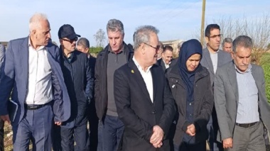 پیشرفت‌های محوری در کشاورزی دانش‌بنیان: از تولید ارقام نوین تا ساماندهی زیرساخت‌های پژوهشی