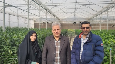 برگزاری دوره آموزشی شناخت آفات و بیماری‌های گلخانه‌ای