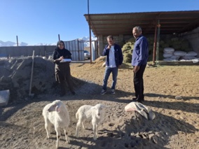 بازدید از واحد فناور «نوادام» مستقر در بخش ساردوئیه