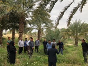 کارگاه آموزشی ترویجی اصول تغذیه و به باغی نخلستان